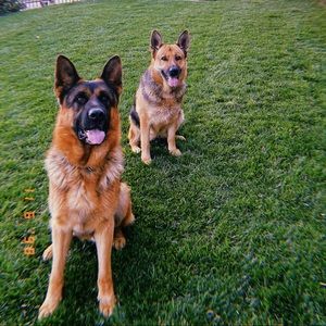 Meet your Posher, Danny